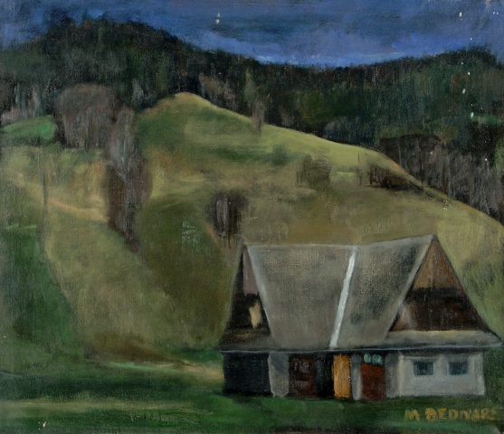 Mateusz Bednarz - Dom w górach